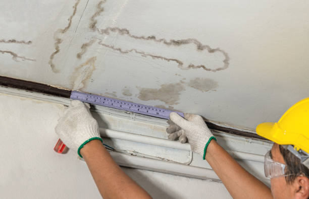 Reliable Water Removal contractor in Quinlan, TX by Water Damage Irwin